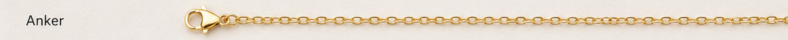 Anker Little gold line